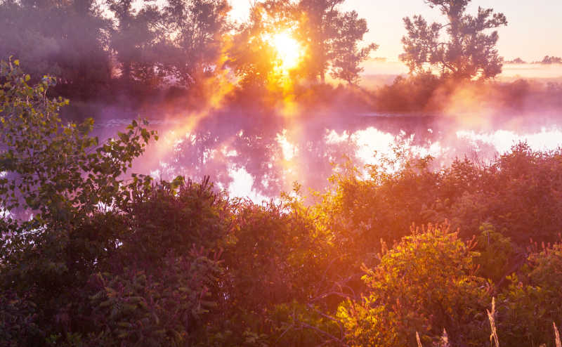 清晨河上的雾被日光削弱