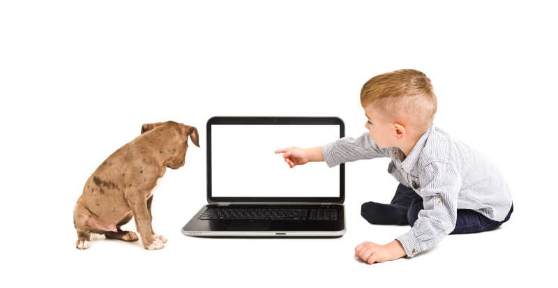 狗狗和小男孩在看电脑