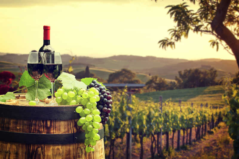 葡萄园前面酒桶上的葡萄与葡萄酒