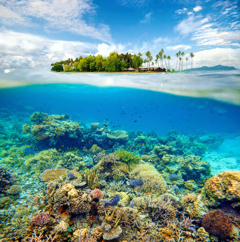珊瑚礁环绕的美丽小岛