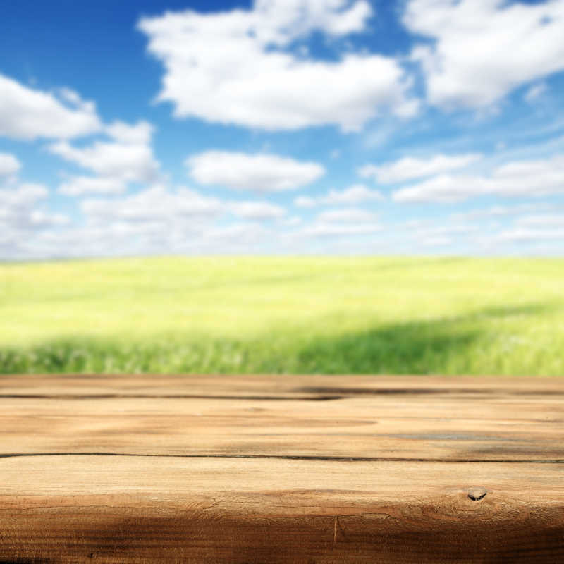 蓝色天空下的绿色草坪背景前的书桌