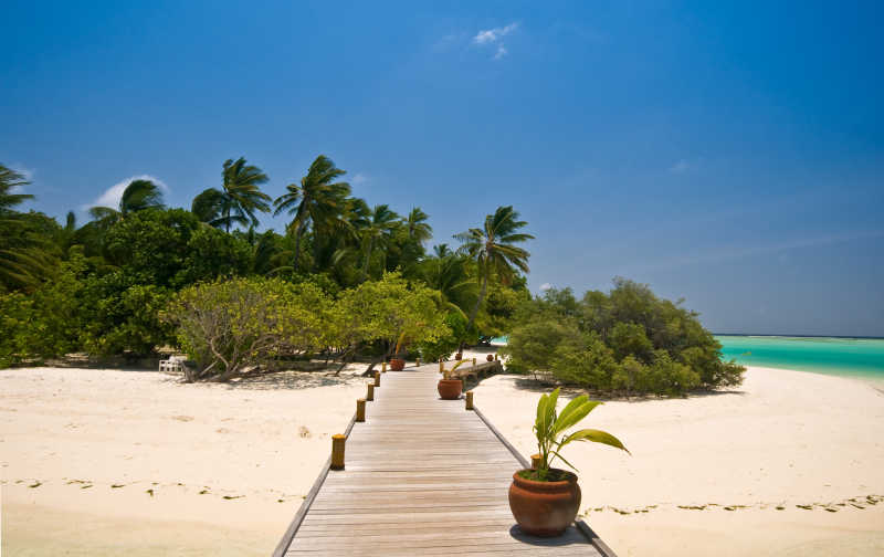 热带海滩上的木制走廊