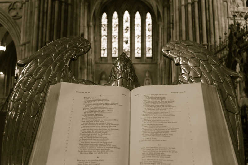圣经上lectern（鹰）在利奇菲尔德大教堂