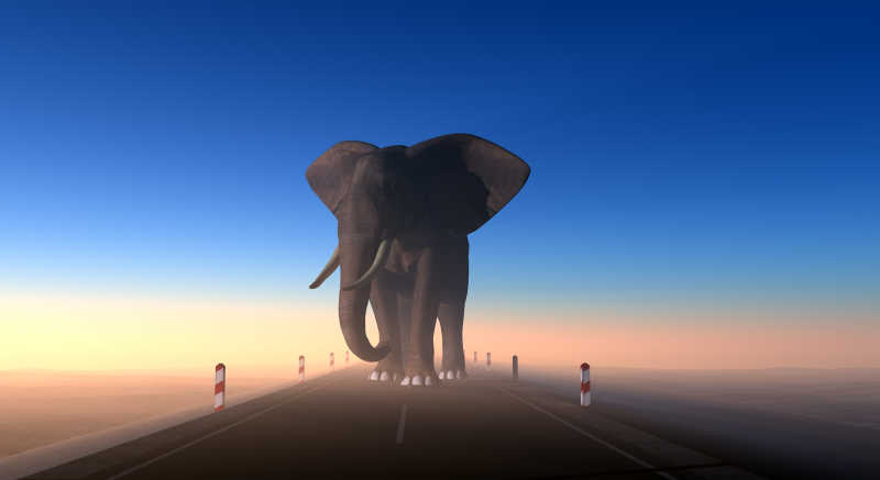 一头大象走在沙漠公路上
