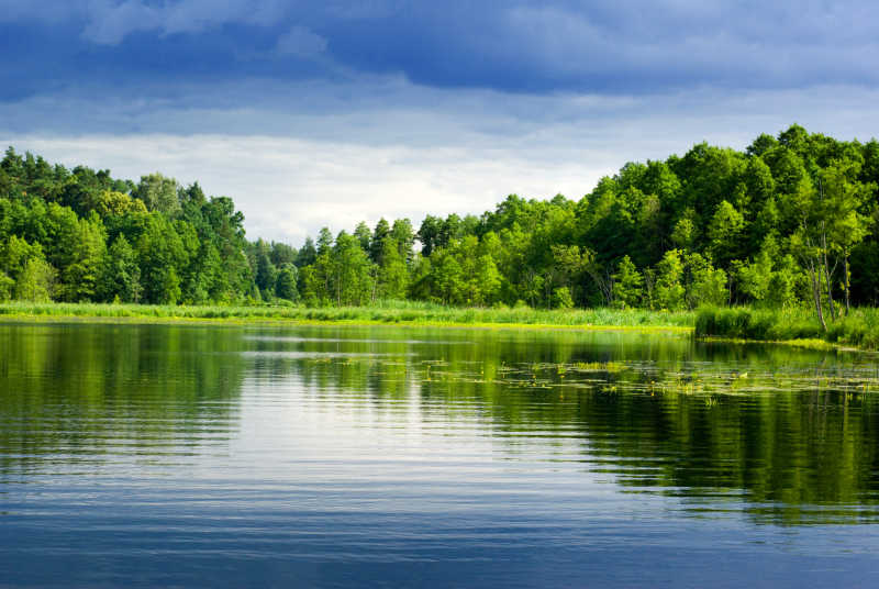 湖泊和森林风景
