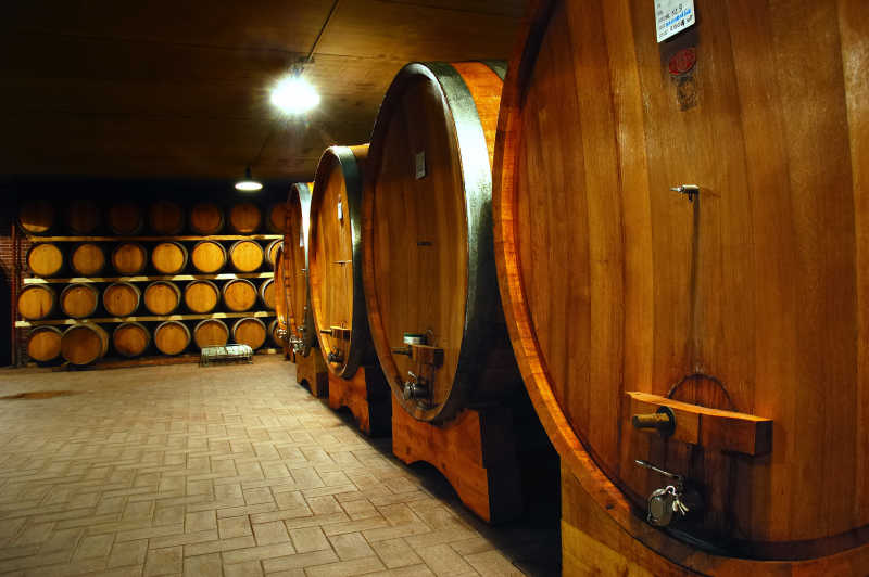 存储葡萄酒的酒窖
