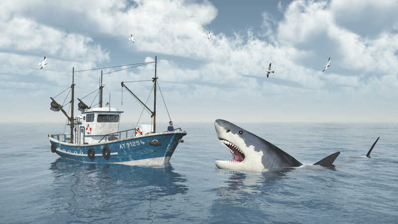 大白鲨和渔船