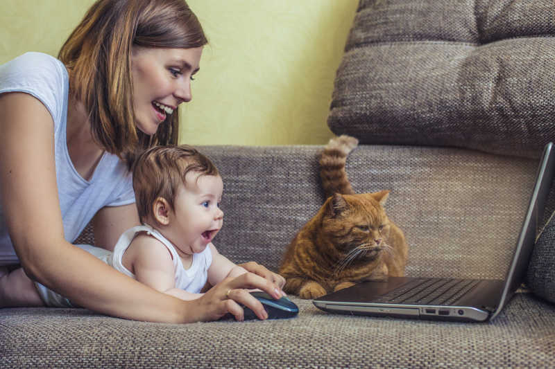 在沙发上陪伴宝宝和猫咪使用笔记本电脑的美女