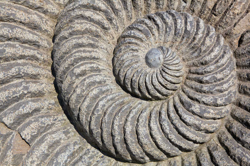 蜗牛螺旋