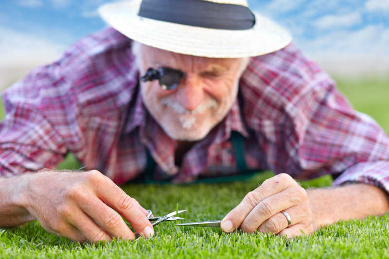 高级园丁修剪草坪