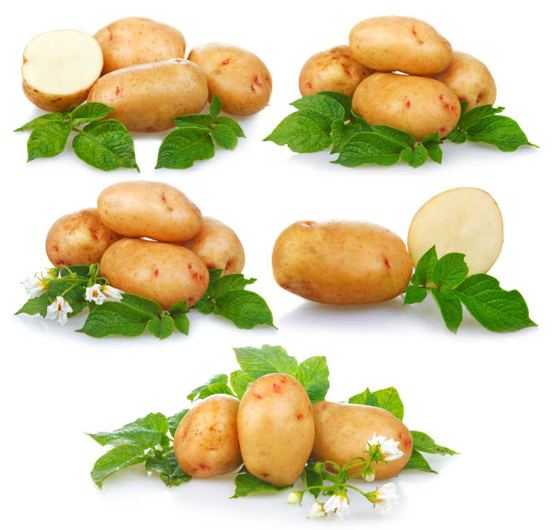 白色背景上的新鲜土豆