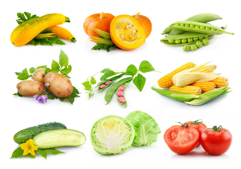 白色背景上的新鲜九种蔬菜