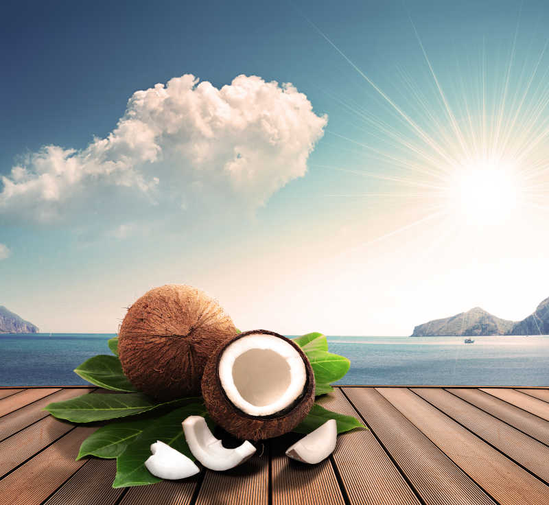 港口木桌上的椰子