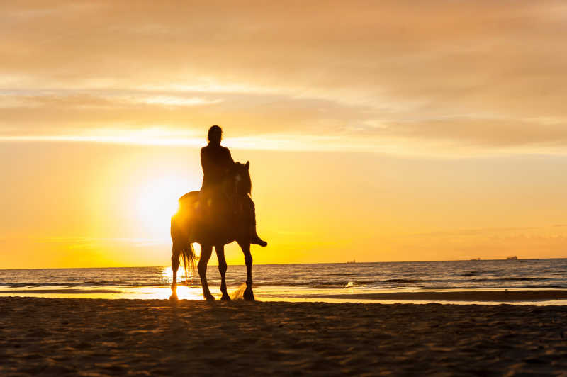 夕阳下骑马的女骑师