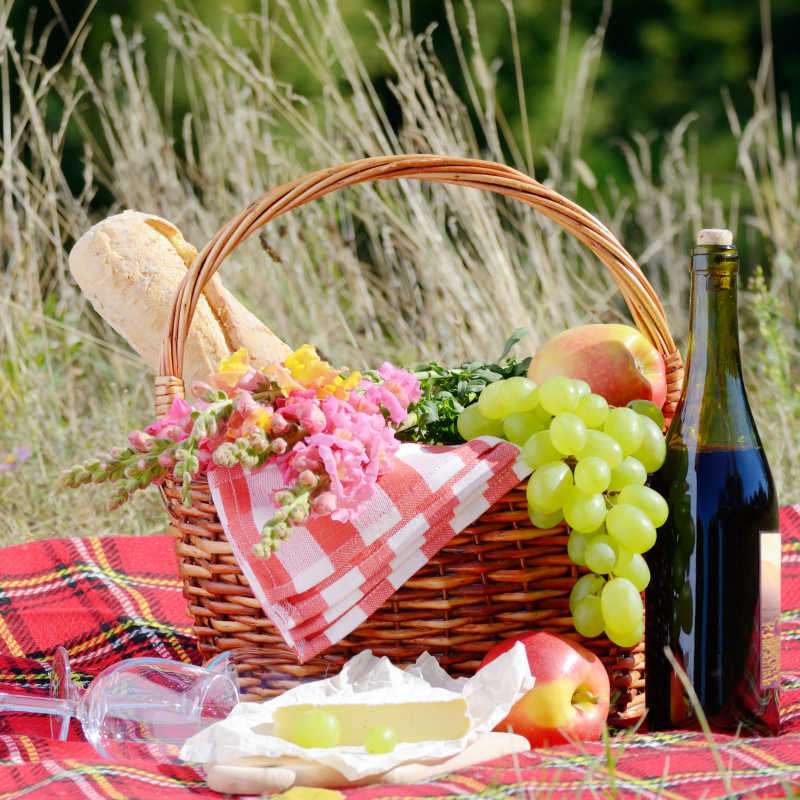 草地餐巾上葡萄酒奶酪面包和水果