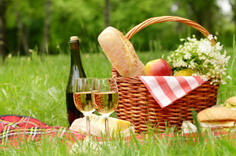 草地餐巾上的野餐篮子和葡萄酒