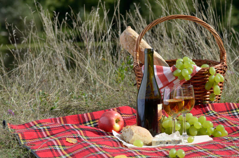 野餐巾上的葡萄酒和葡萄美食