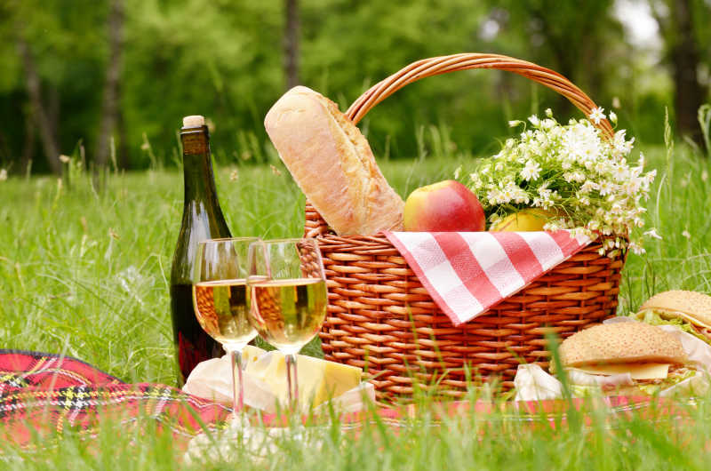 草地上野餐篮子中的美食葡萄酒