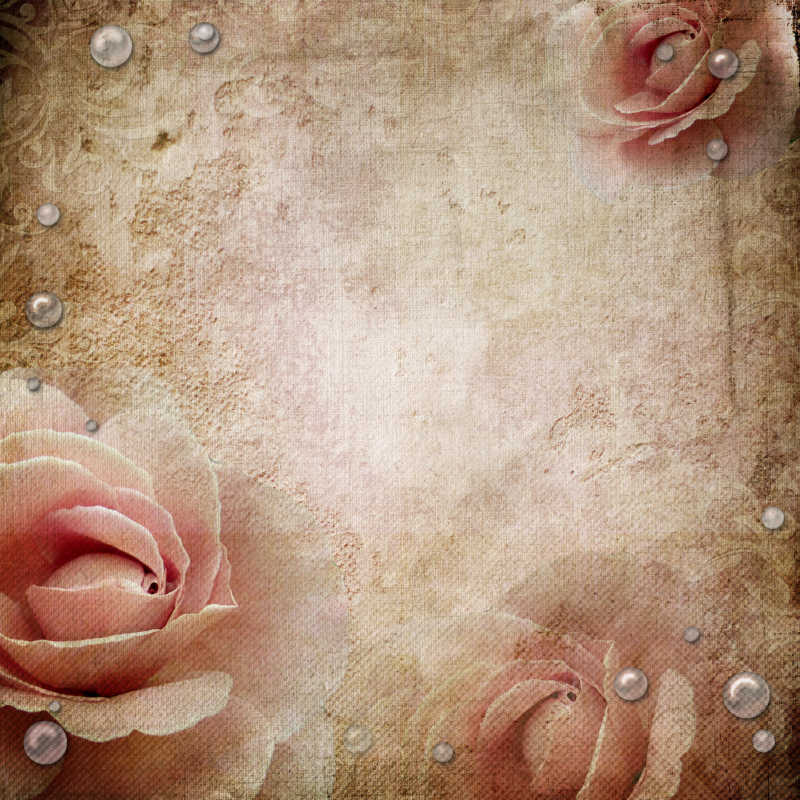 复古的粉色玫瑰