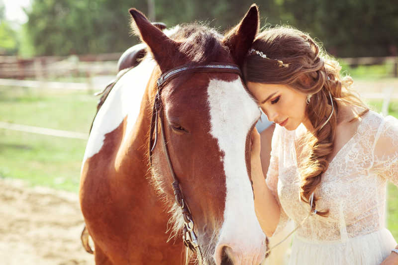 户外的年轻美女与马