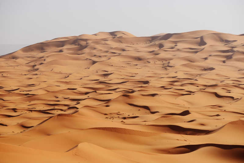 撒哈拉沙漠的沙丘