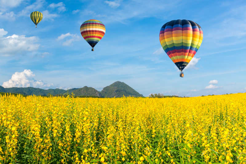 蓝天下飞过黄色花朵的草地上的彩色热气球
