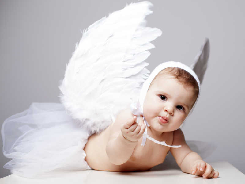 灰色背景下长着白色翅膀的小宝宝