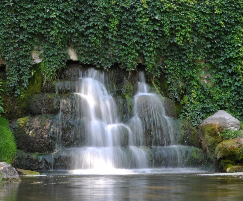 美丽的自然森林里的亚历山大公园瀑布