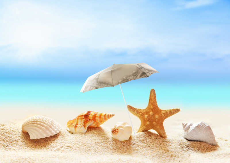 海滩上的贝壳和小遮阳伞