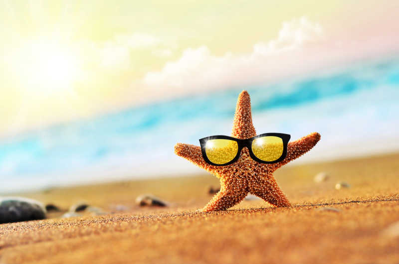 海滩上戴着太阳镜的金色海星