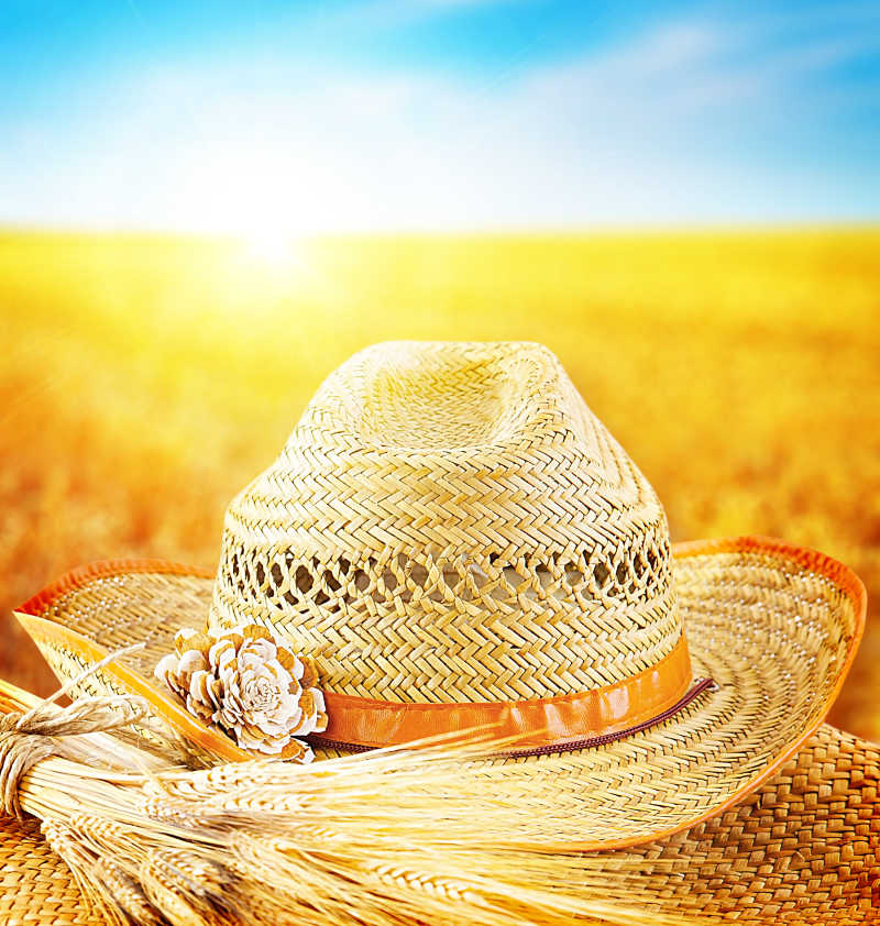农民的帽子和金色小麦