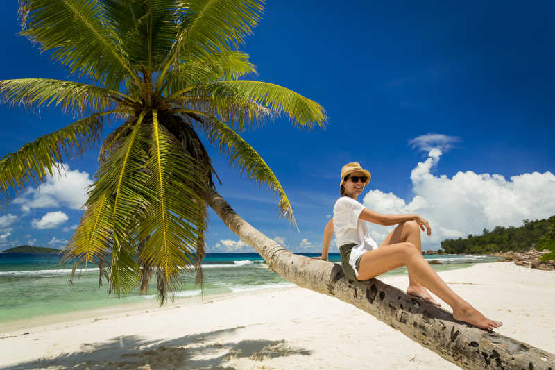 海滩上坐在椰树上的美丽女郎