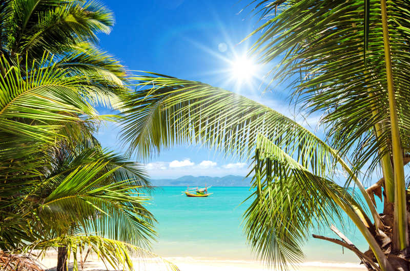 阳光明媚的热带海滩