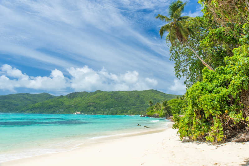 美丽的热带海滩美景