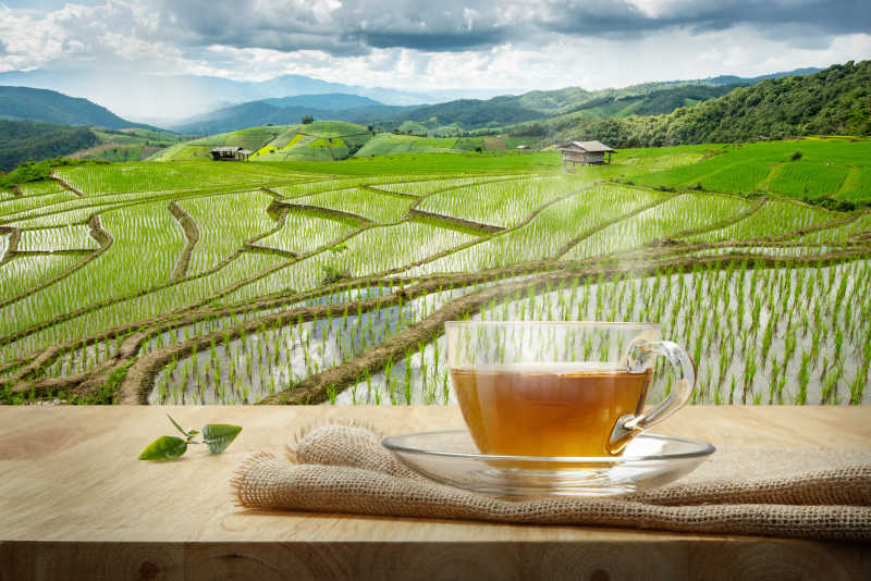 蓝天下水稻田背景下木桌上的一杯热茶