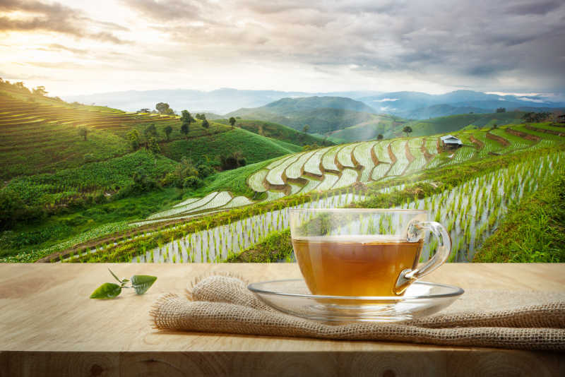 有阳光的稻田背景下木桌上的一杯热清茶