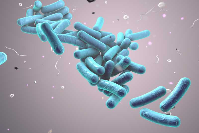 蓝色柱状细菌病毒