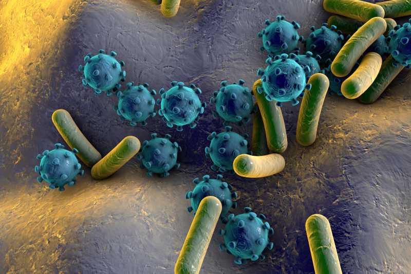 绿色杆状细菌与蓝色球状细菌
