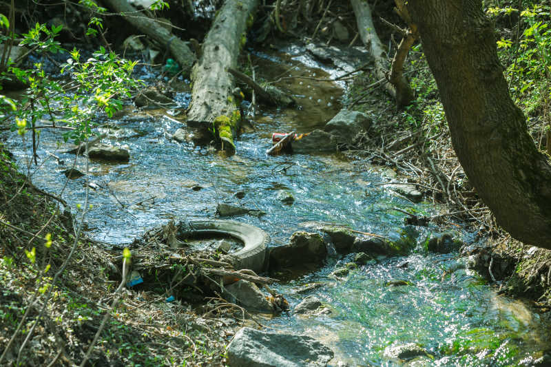 远郊污染严重的水道
