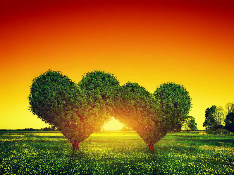 日落背景的两棵心形的树