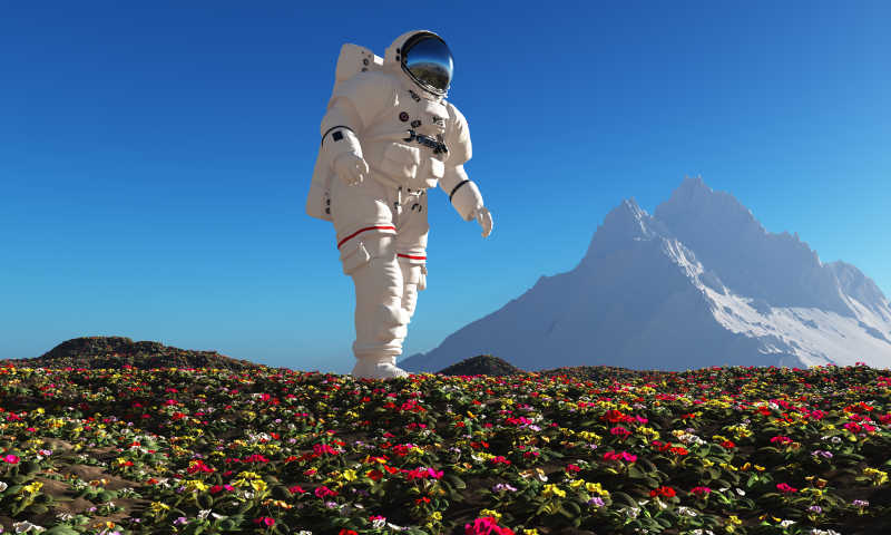 宇航员与鲜花