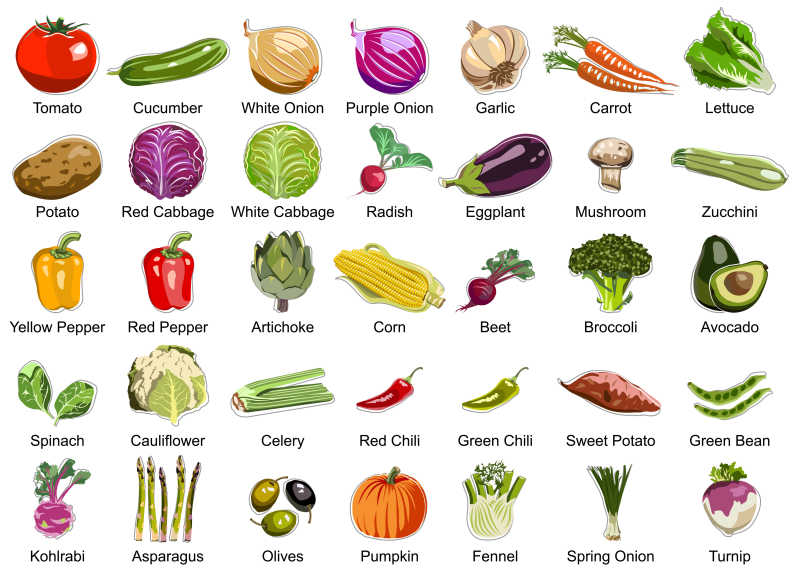 白色背景下收集的35个蔬菜图标