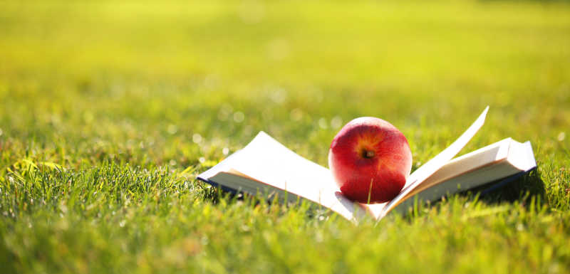 绿草上的书和一个苹果