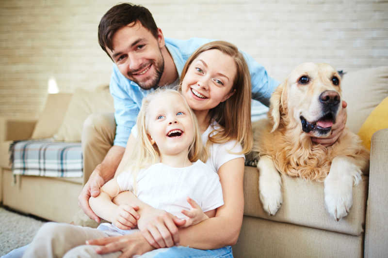 居家沙发上的夫妇抱着女儿和宠物狗的特写