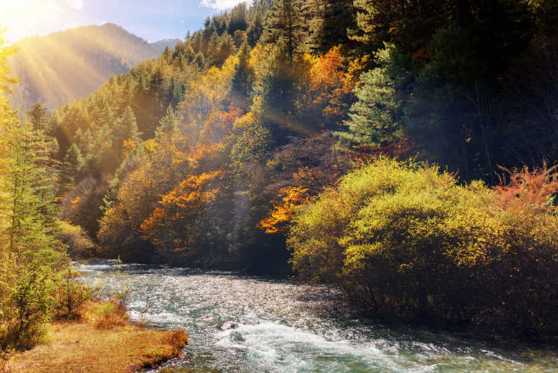 秋季户外美丽风景河流
