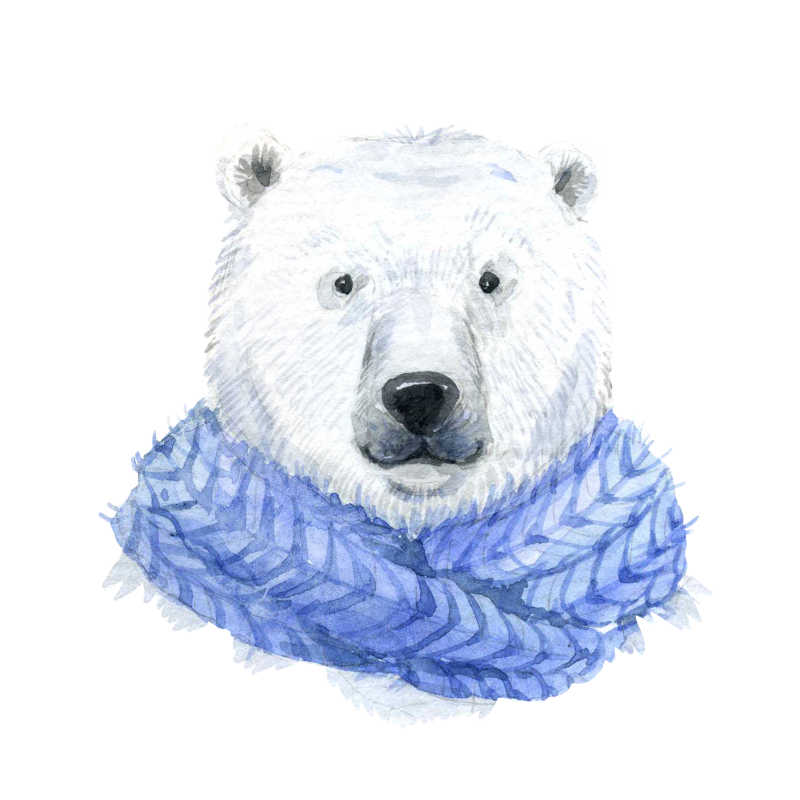 戴着蓝色围巾的插画北极熊
