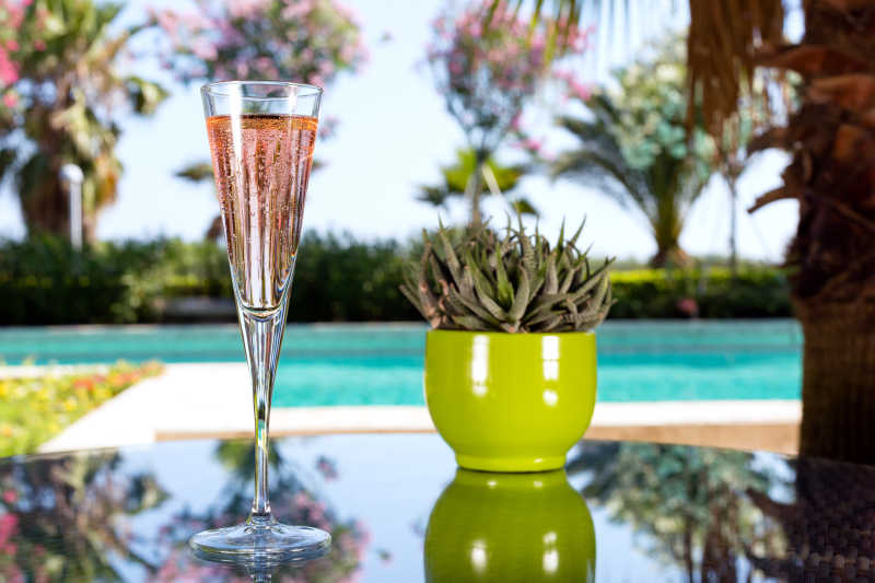 户外度假酒吧玻璃桌上的香槟和多肉植物