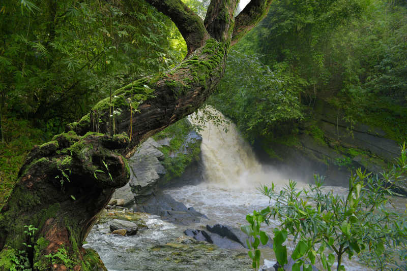 泰国丛林中的瀑布