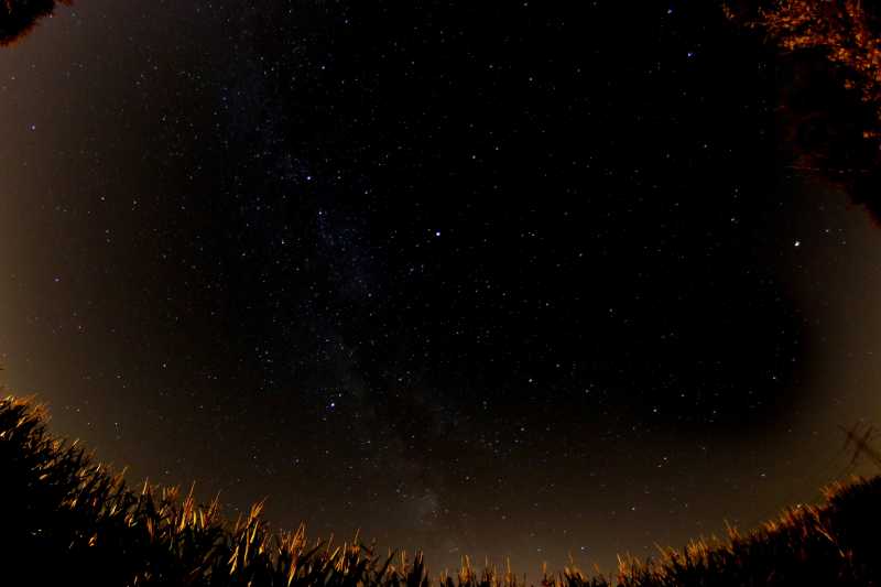 夜空下的玉米地