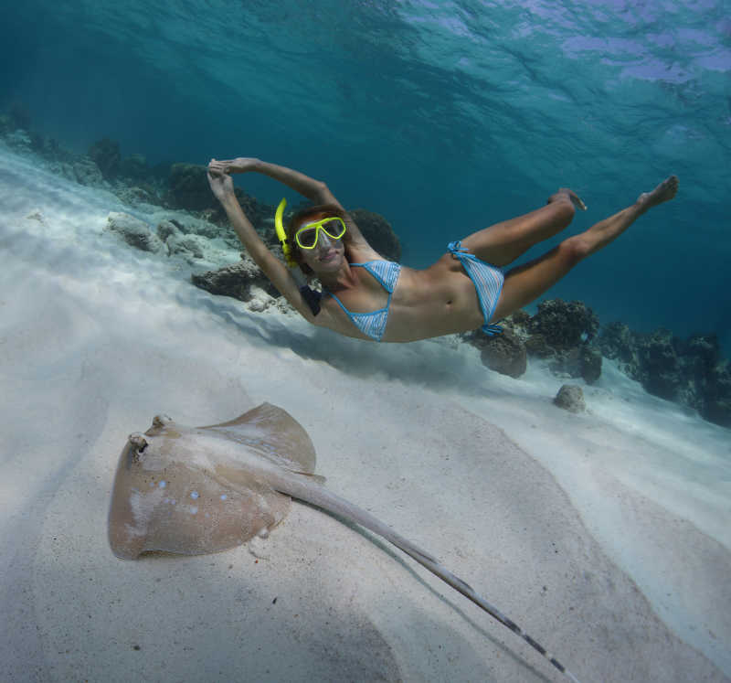 年轻女人在热带海域浮潜